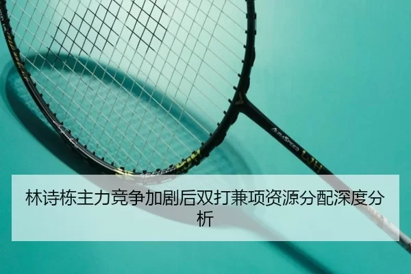 lin-shi-dong-zhu-li-jing-zheng-jia-ju-hou-shuang-da-jian-xiang-zi-yuan-fen-pei-shen-du-fen-xi-2-307.jpg